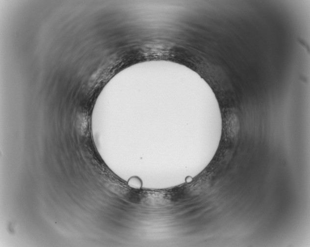 X0000103490709200810101022