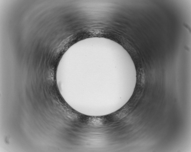 X0000103490710200810101022