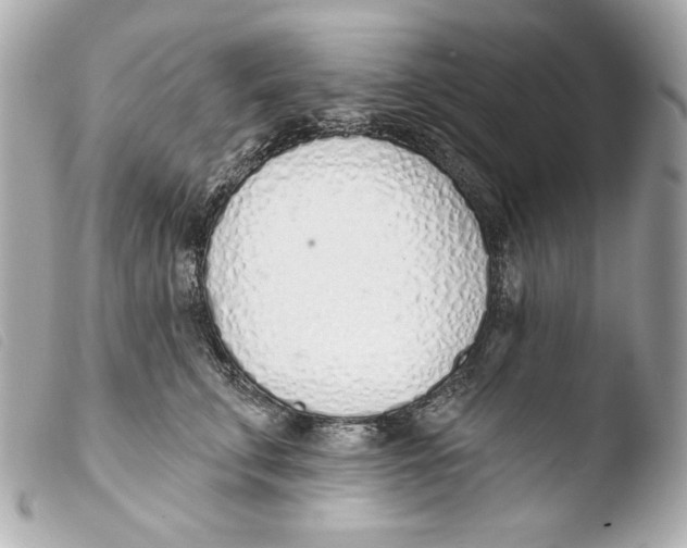 X0000103490711200810101022