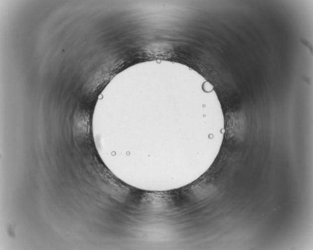 X0000103490713200810101022