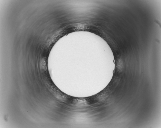 X0000103490715200810101022