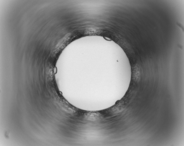 X0000103490716200810101022
