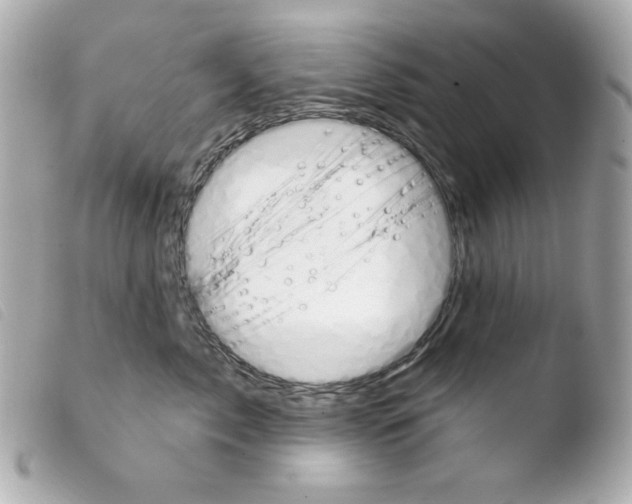 X0000103490717200810101022