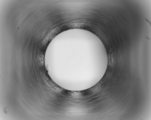 X0000103490718200810101022