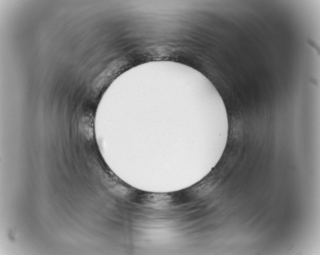 X0000103490719200810101022