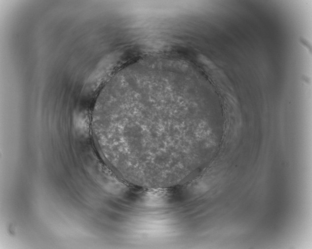 X0000103490720200810101022