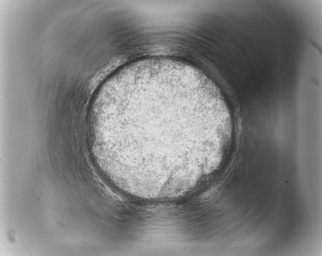 X0000103490721200810101022
