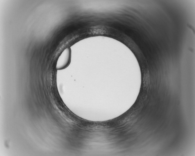 X0000103490722200810101022