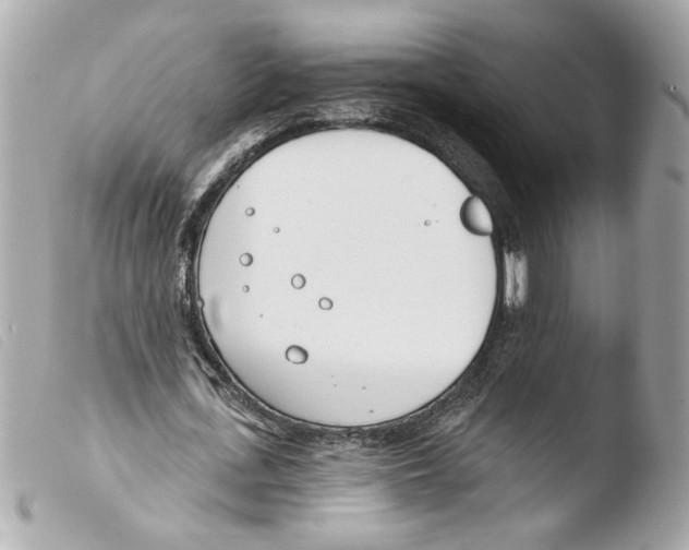 X0000103490723200810101022