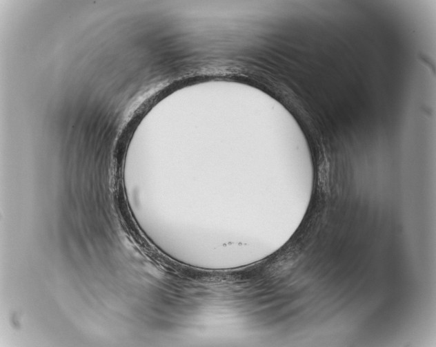 X0000103490724200810101022