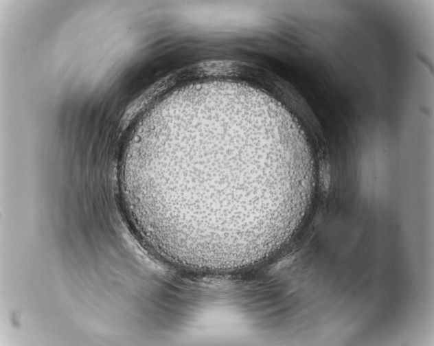 X0000103490725200810101022