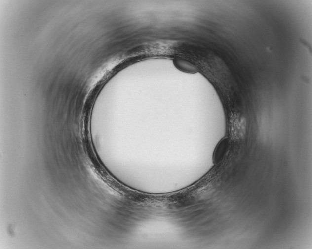 X0000103490726200810101022