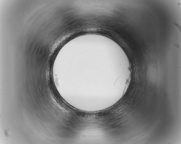X0000103490728200810101022