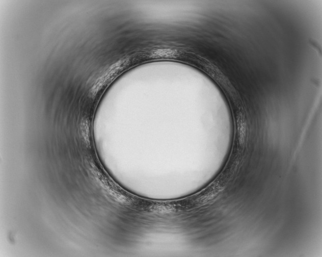 X0000103490729200810101022