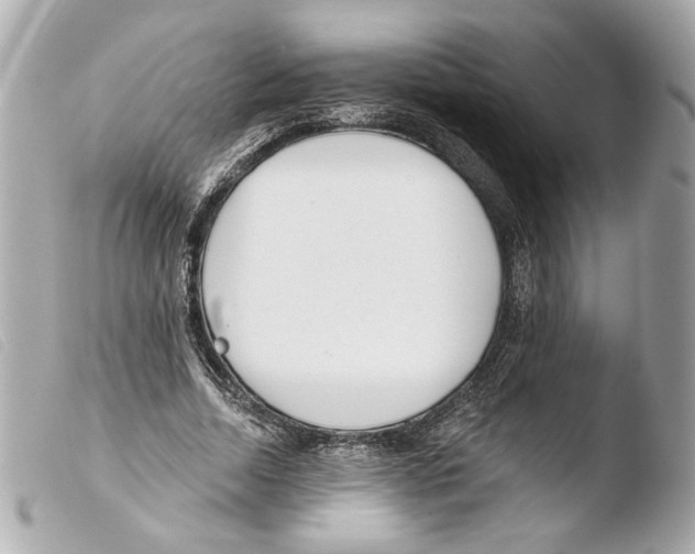 X0000103490730200810101022