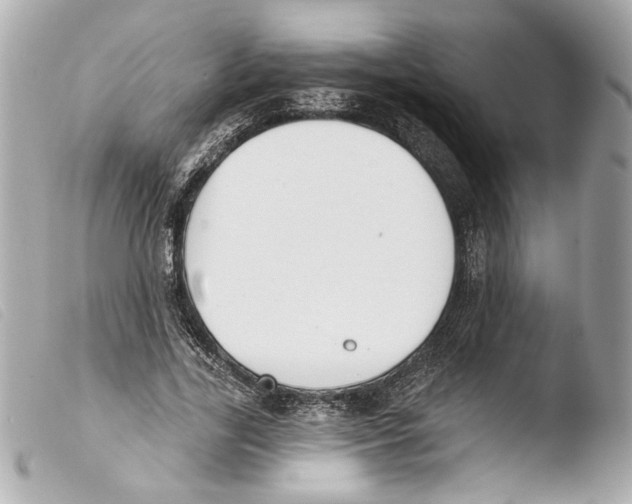 X0000103490731200810101022