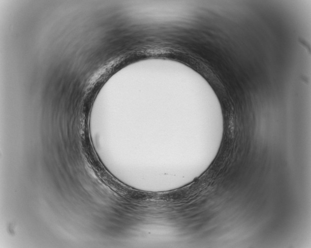 X0000103490732200810101022