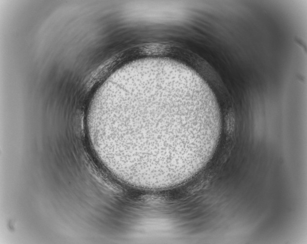 X0000103490733200810101022
