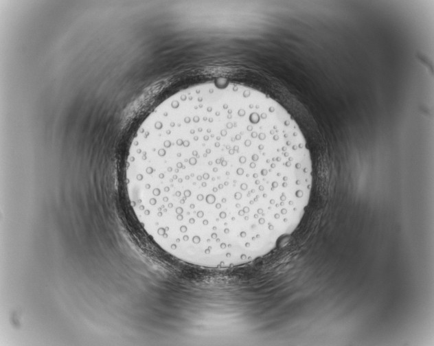 X0000103490734200810101022