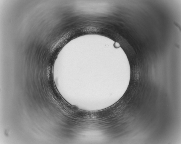 X0000103490735200810101022