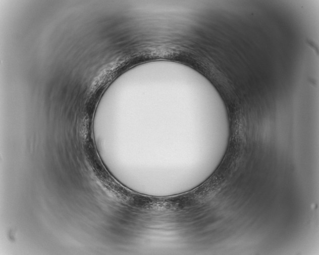 X0000103490736200810101022