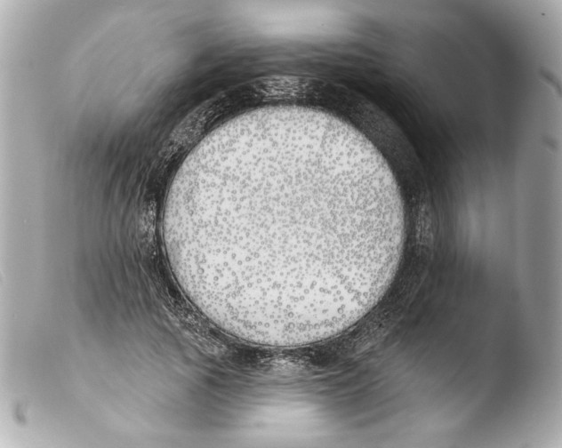 X0000103490737200810101022