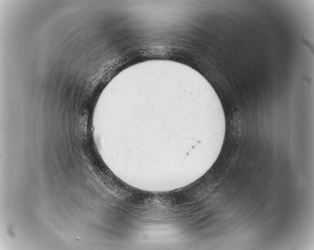 X0000103490739200810101022