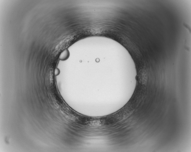 X0000103490740200810101022
