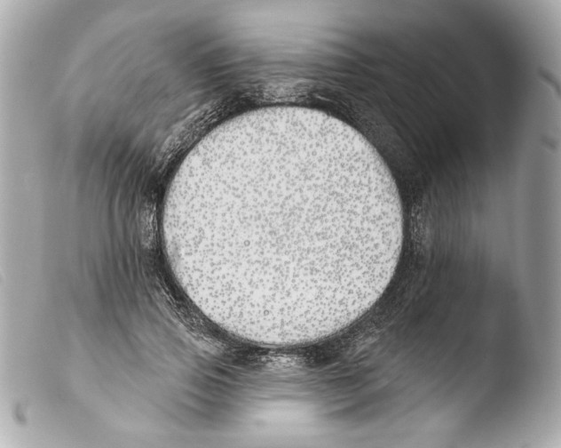 X0000103490741200810101022
