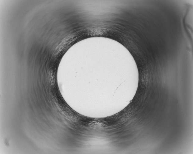 X0000103490743200810101022