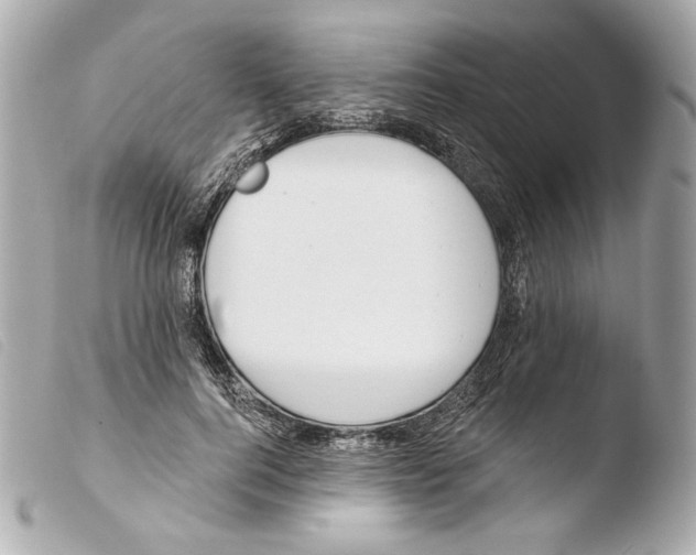 X0000103490744200810101022