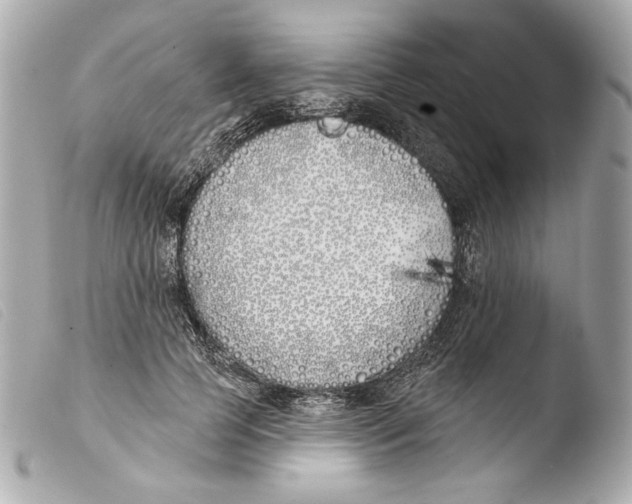 X0000103490745200810101022