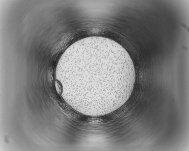 X0000103490746200810101022