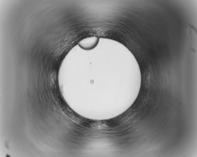 X0000103490747200810101022