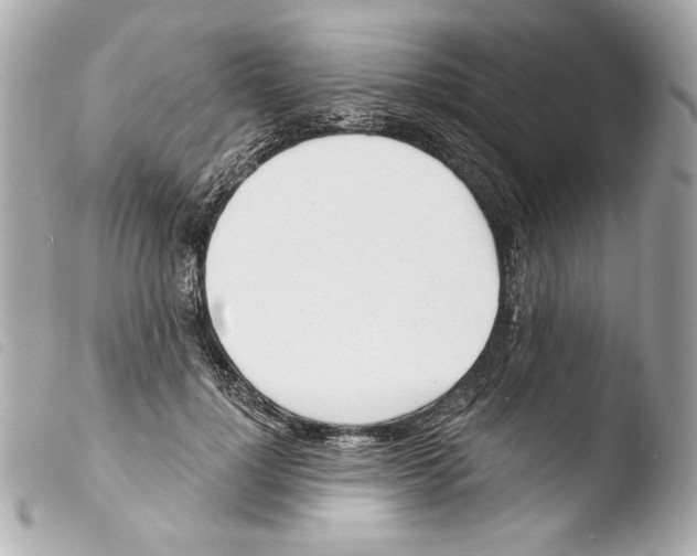 X0000103490748200810101022