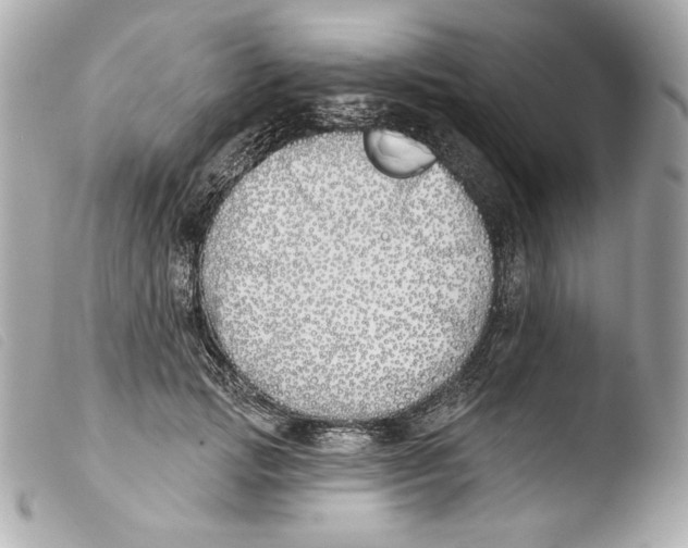 X0000103490749200810101022