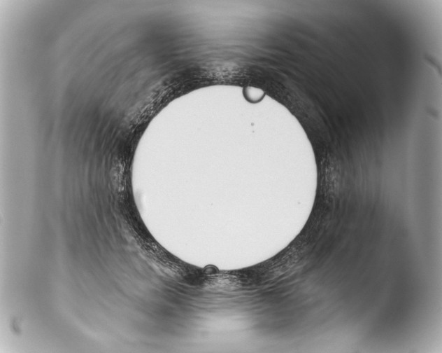 X0000103490750200810101022