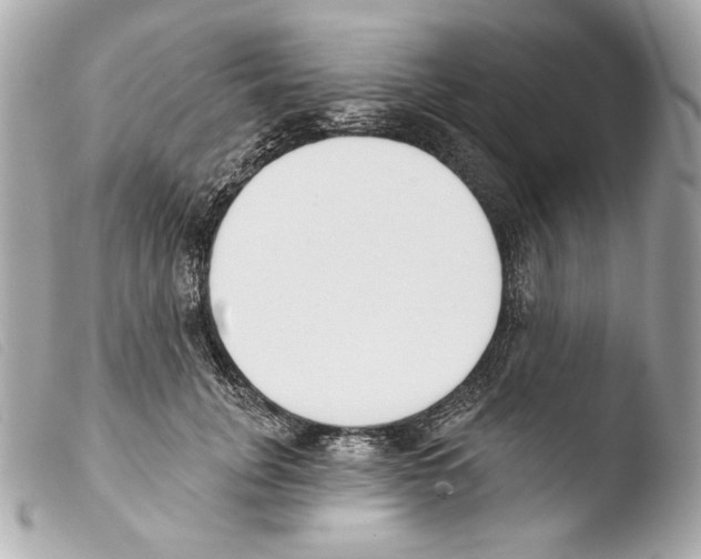X0000103490751200810101022