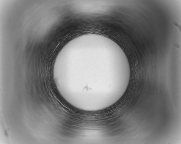 X0000103490752200810101022