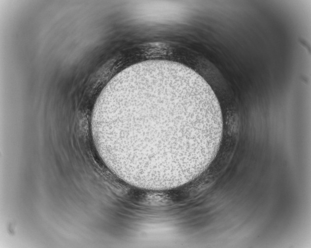 X0000103490753200810101022