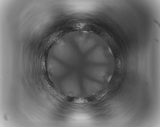 X0000103490754200810101022