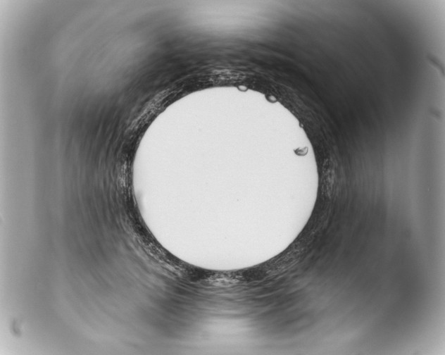 X0000103490756200810101022