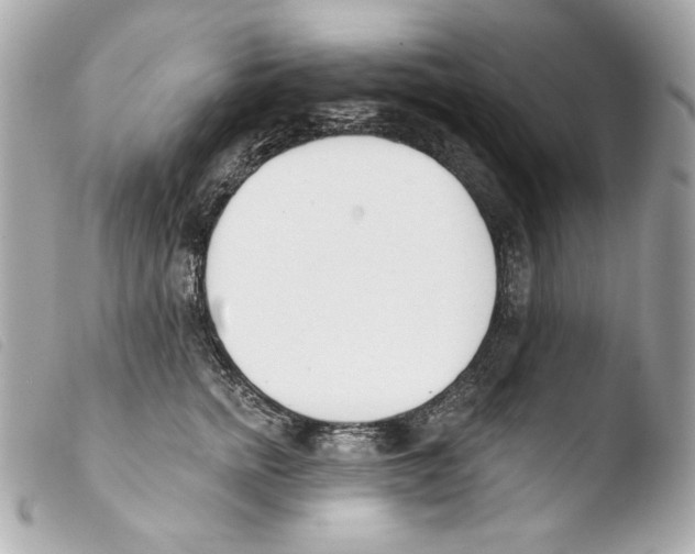 X0000103490758200810101022