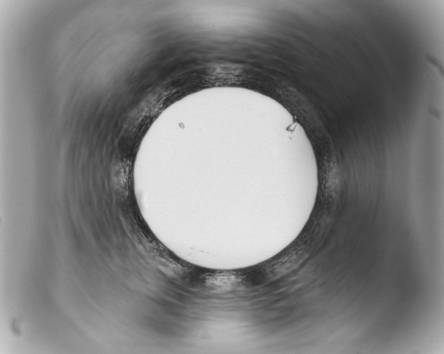 X0000103490759200810101022