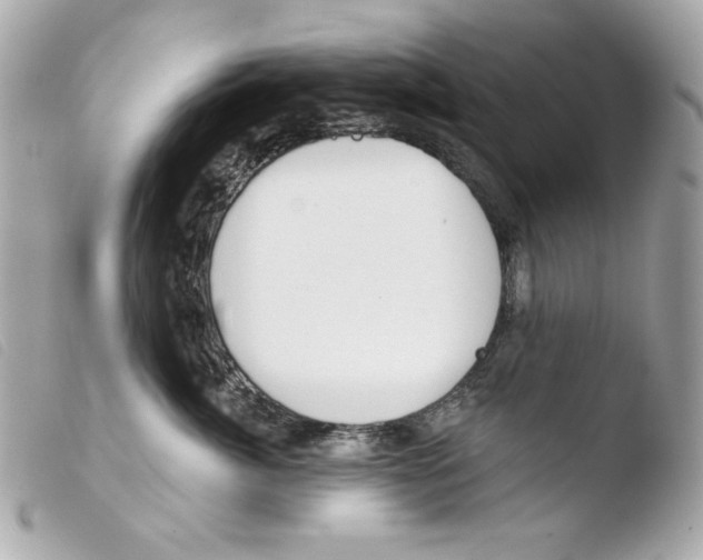 X0000103490764200810101022