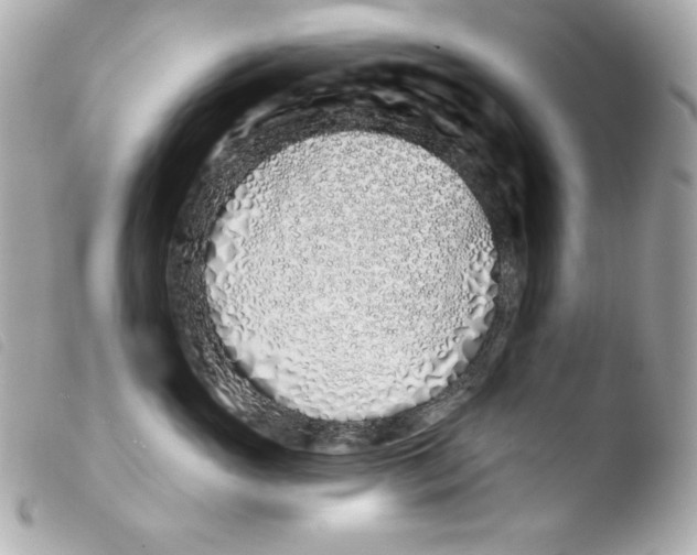 X0000103490765200810101022