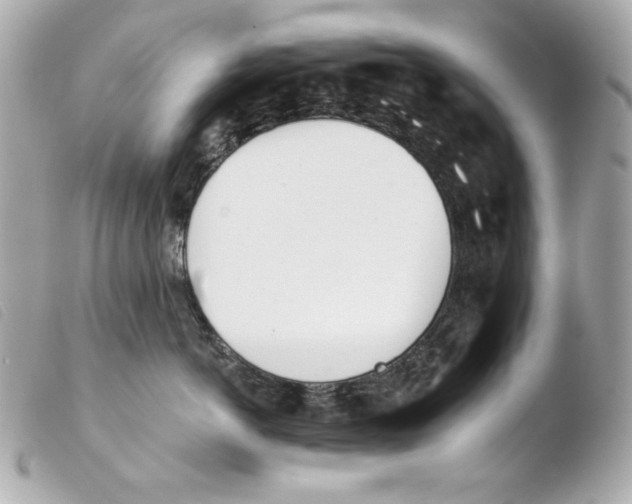 X0000103490766200810101022