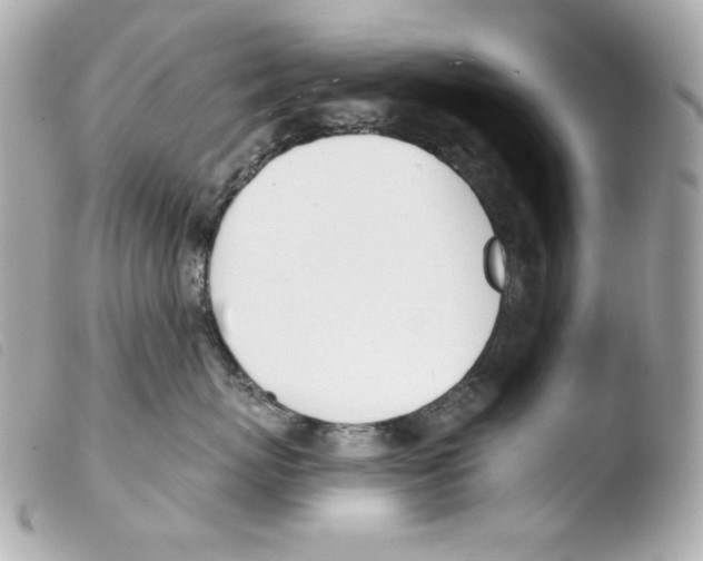 X0000103490767200810101022