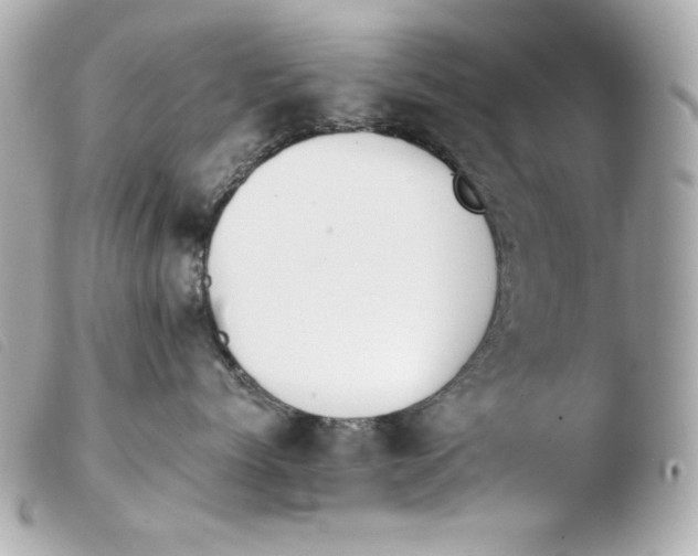 X0000103490768200810101022