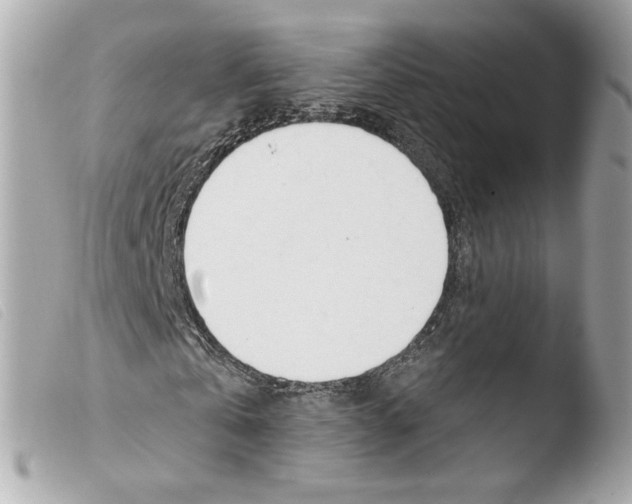 X0000103490769200810101022